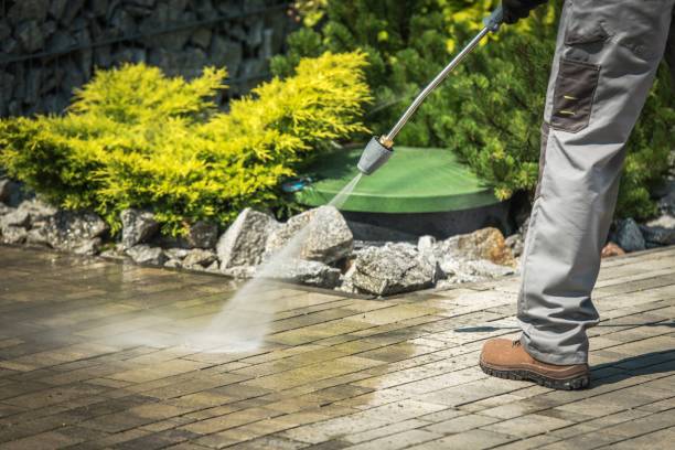 Best Fence Cleaning  in Galt, CA